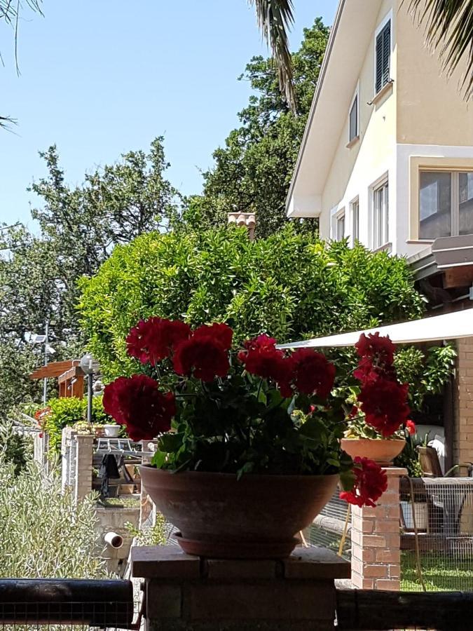 B&B L'Eucalipto Paola Esterno foto