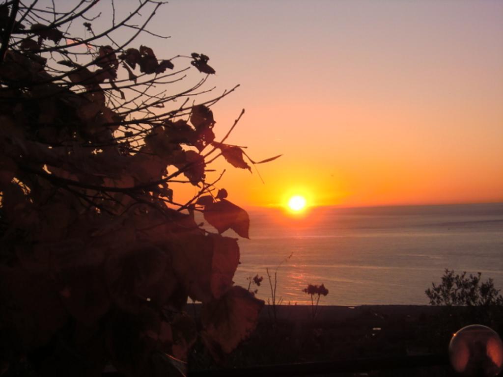 B&B L'Eucalipto Paola Esterno foto